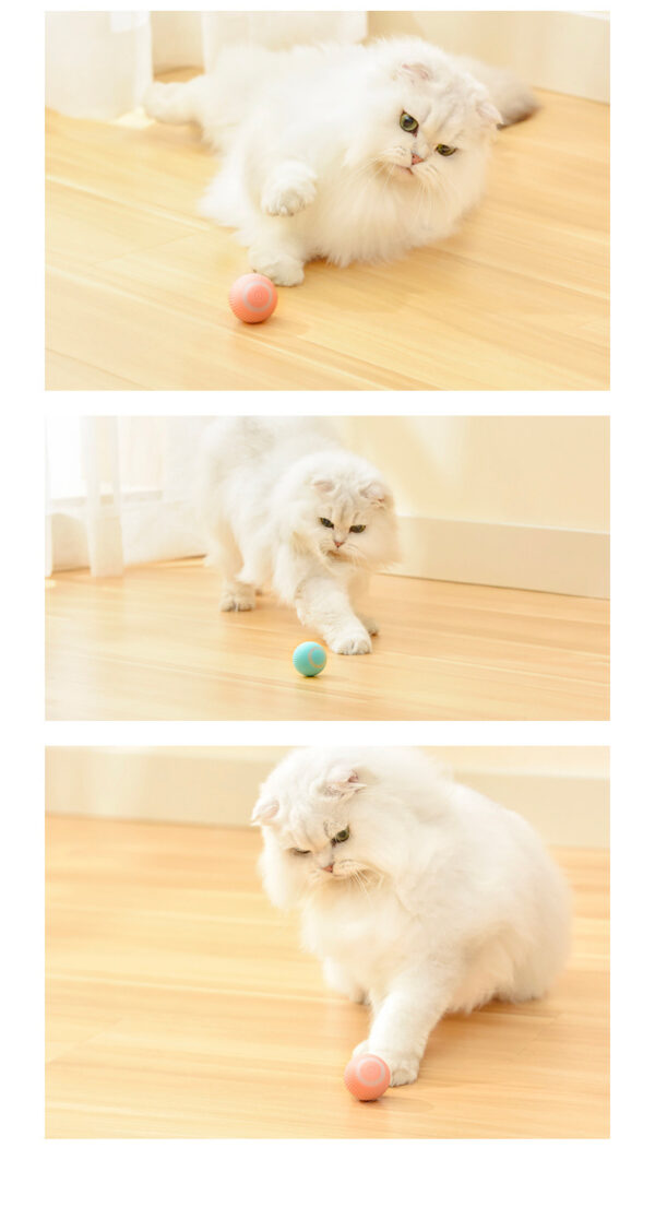 Cat Gravity Intelligent Rolling Ball Tease Toy Pet Automatic Rotating Ball - Image 6