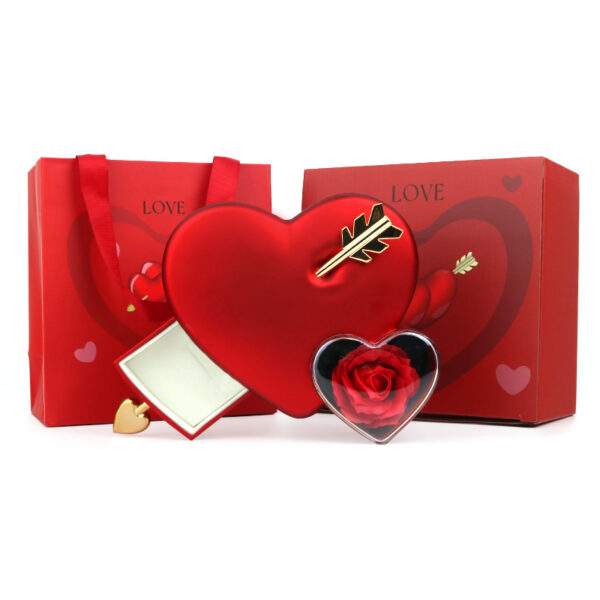 Plastic Double Love Heart-shaped Jewelry Box - Image 8