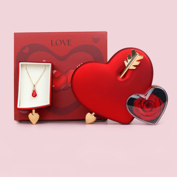 Plastic Double Love Heart-shaped Jewelry Box - Image 6